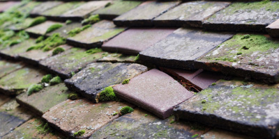 Farnborough roof repair costs